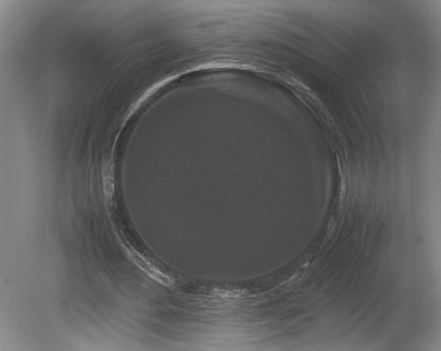 X0000082170484200701191311