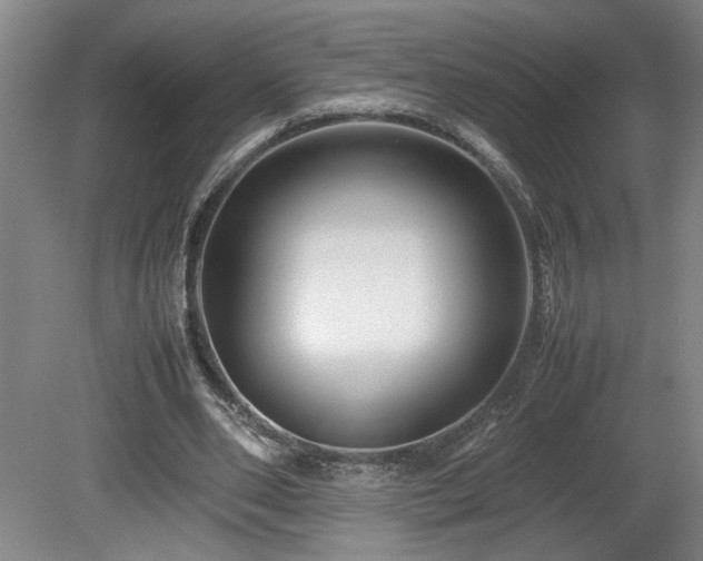 X0000082170486200701191311