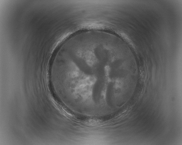 X0000082170487200701191311