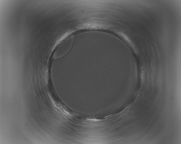 X0000082170488200701191311