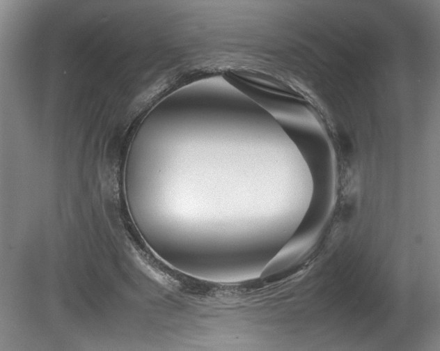 X0000082170489200701191311