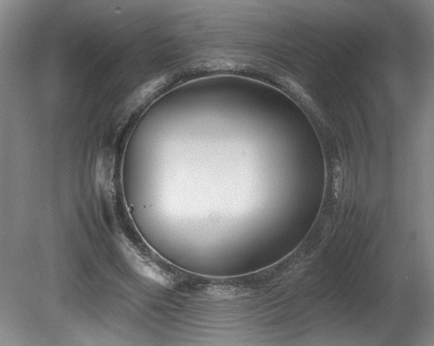 X0000082170490200701191311