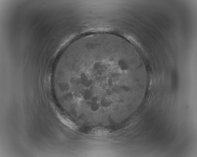 X0000082170491200701191311