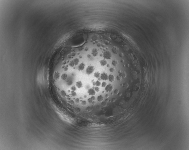 X0000082170494200701191311