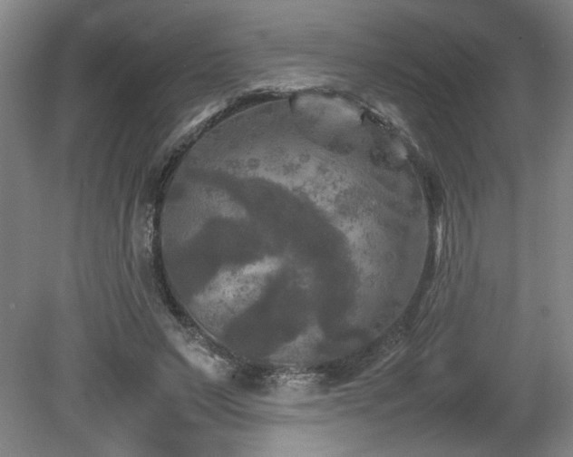 X0000082170495200701191311