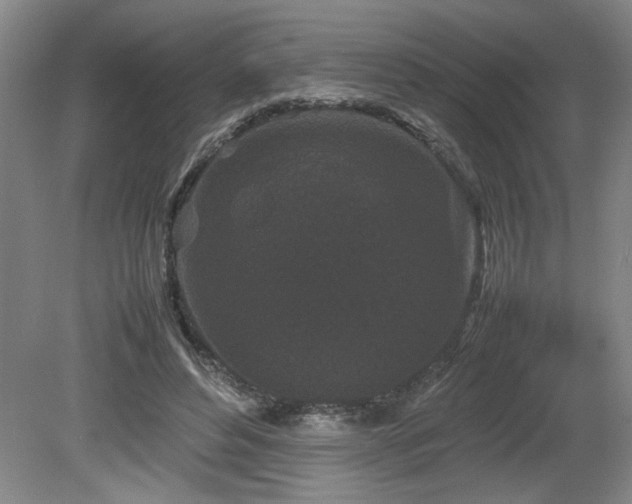 X0000082170496200701191311