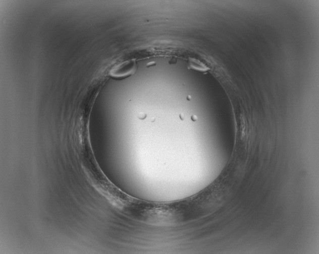 X0000082170498200701191311