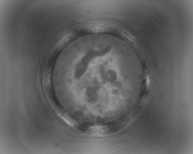 X0000082170499200701191311