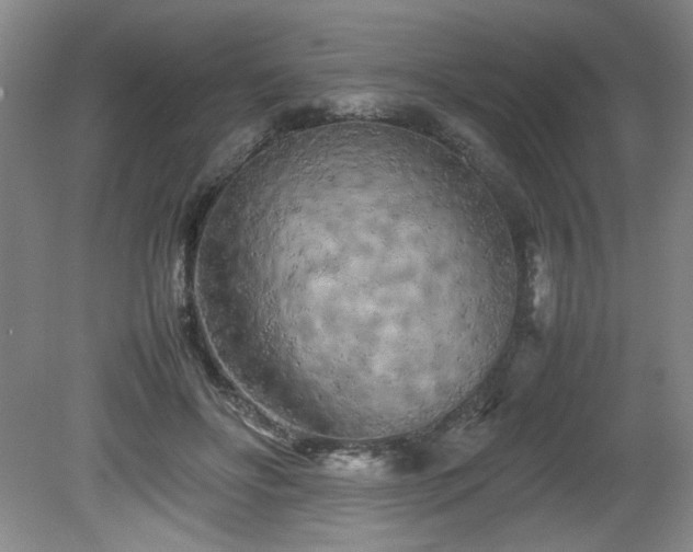 X0000082170502200701191311