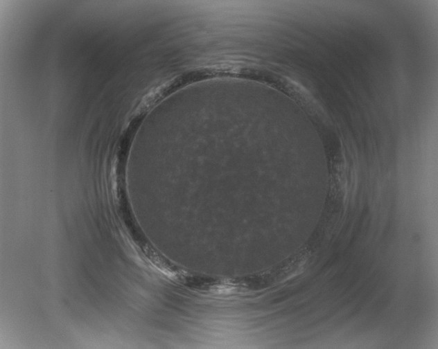 X0000082170504200701191311