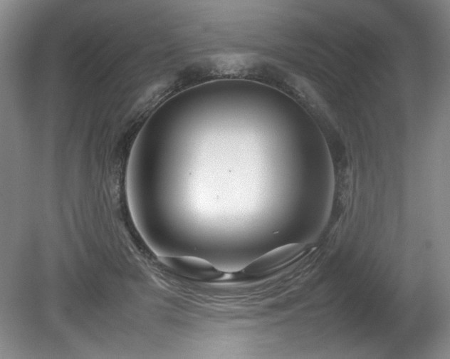 X0000082170505200701191311