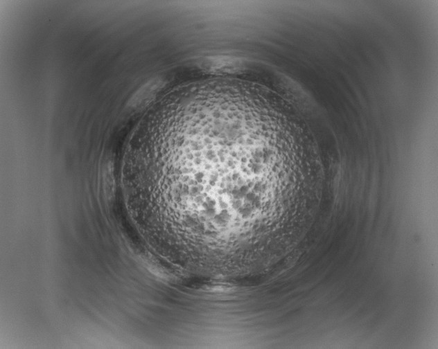 X0000082170506200701191311