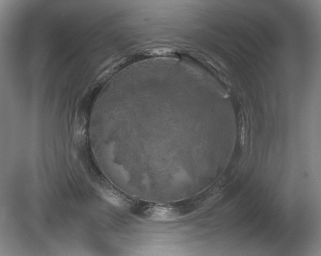 X0000082170507200701191311