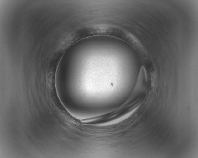 X0000082170509200701191311