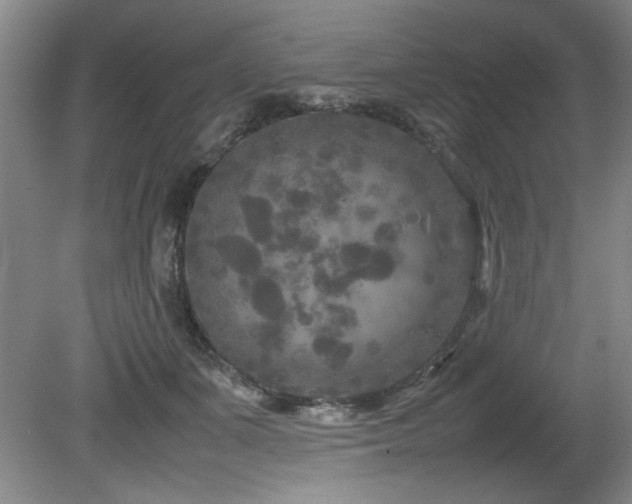 X0000082170511200701191311