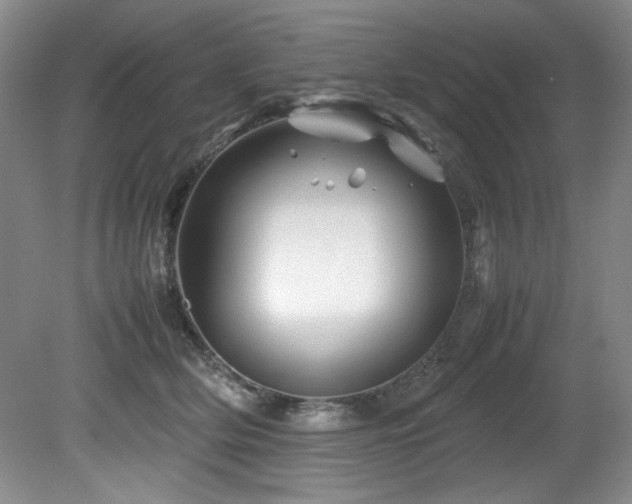 X0000082170514200701191311