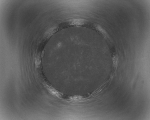 X0000082170517200701191311