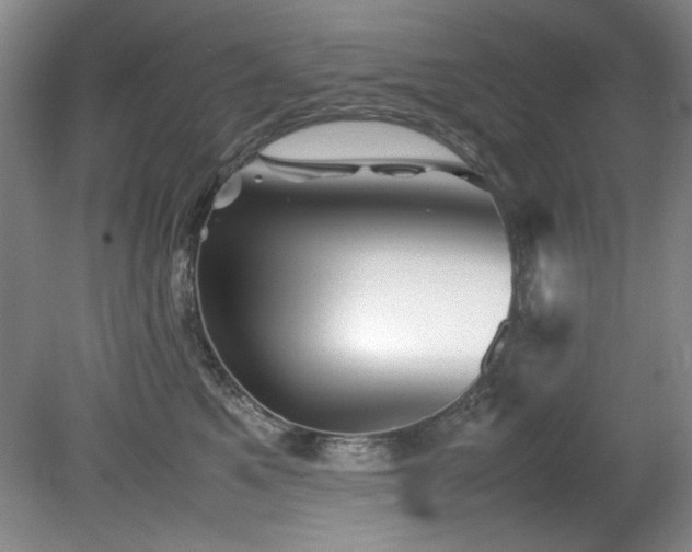 X0000082170521200701191311