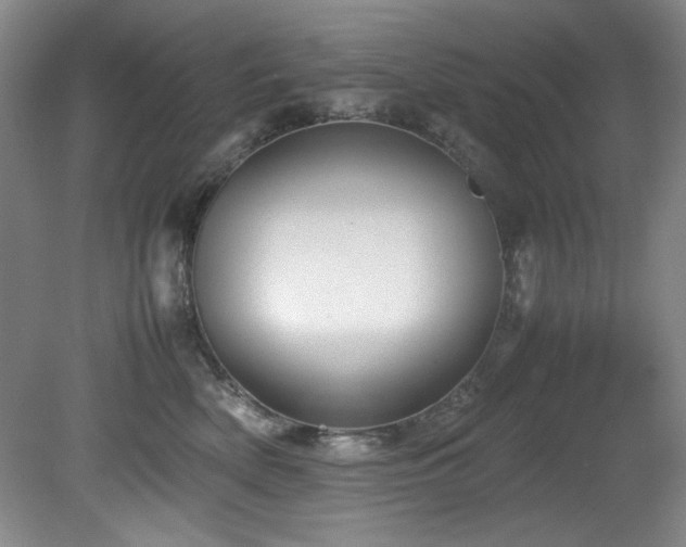 X0000082170522200701191311