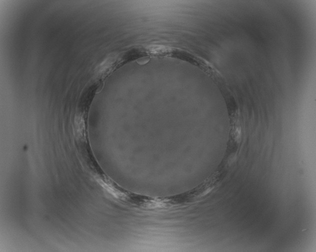 X0000082170523200701191311