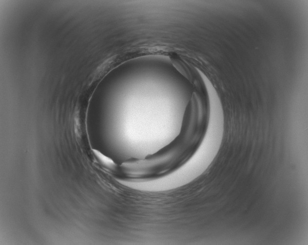 X0000082170524200701191311