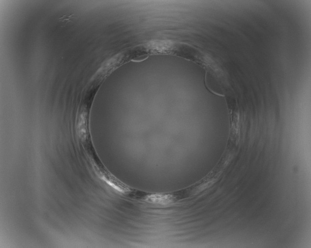 X0000082170526200701191310