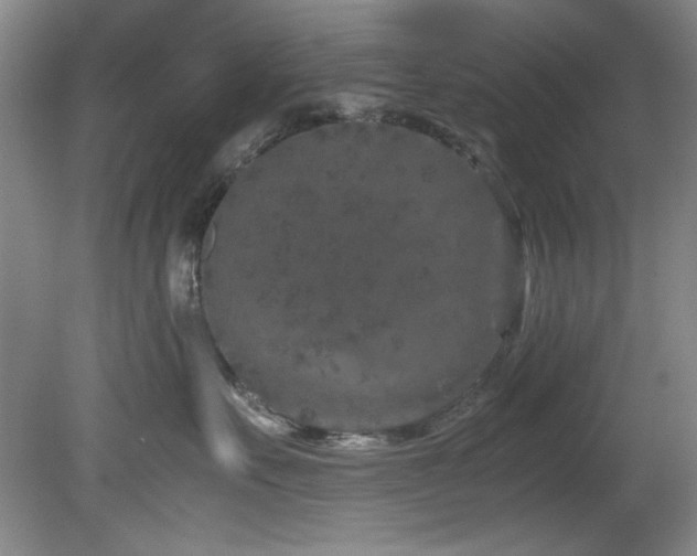 X0000082170527200701191310