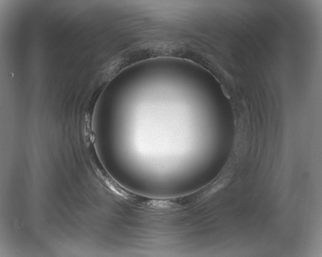 X0000082170528200701191310