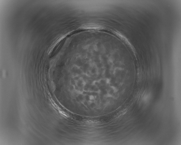 X0000082170529200701191310