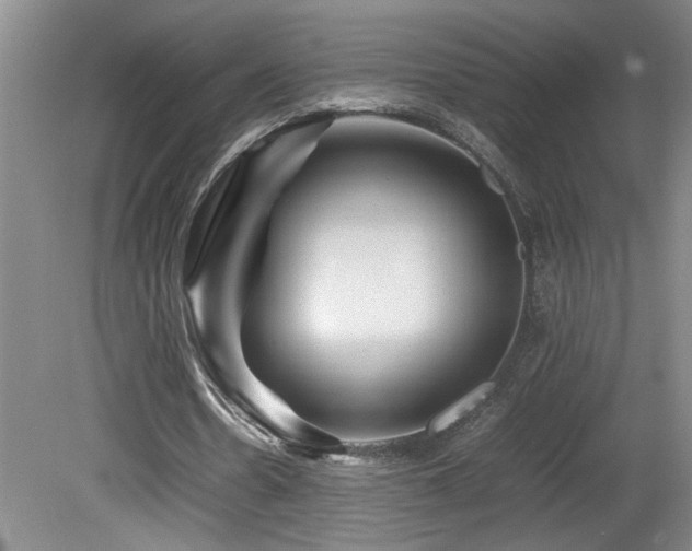 X0000082170530200701191310