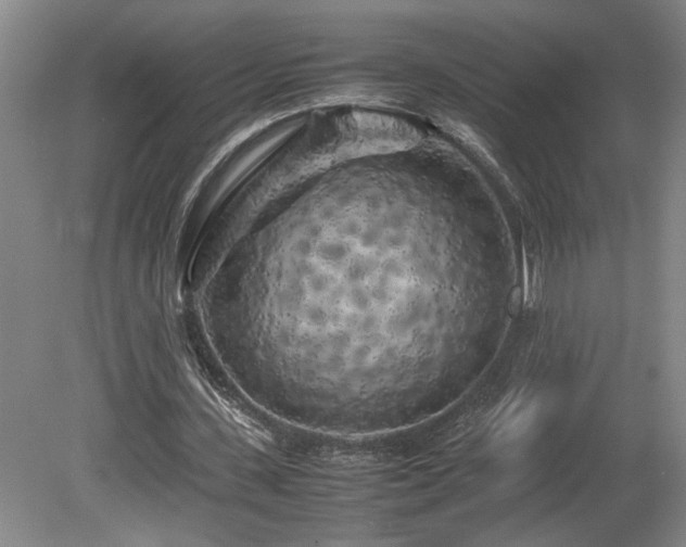 X0000082170531200701191310