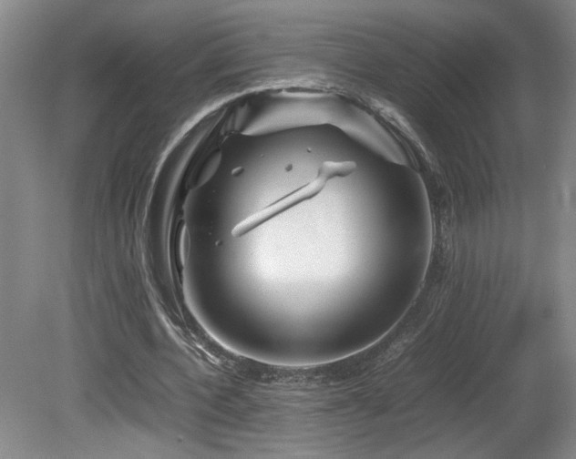 X0000082170532200701191310