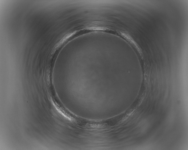 X0000082170533200701191310