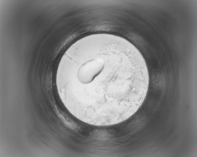 X0000082170534200701191310