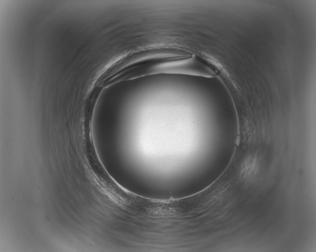 X0000082170535200701191310