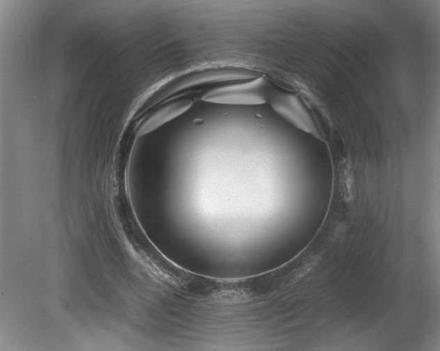 X0000082170536200701191310