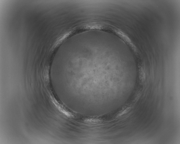 X0000082170537200701191310