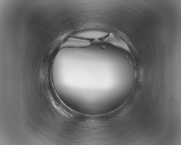 X0000082170538200701191310