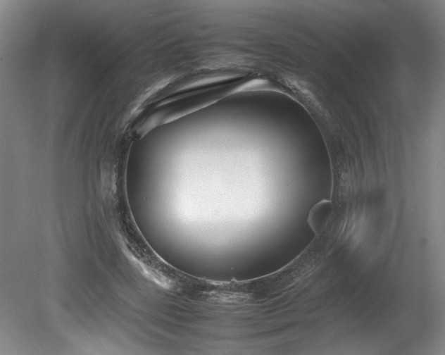 X0000082170539200701191310