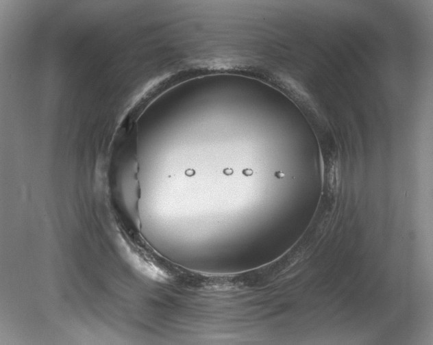 X0000082170540200701191310