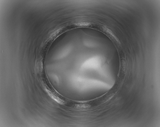 X0000082170541200701191310