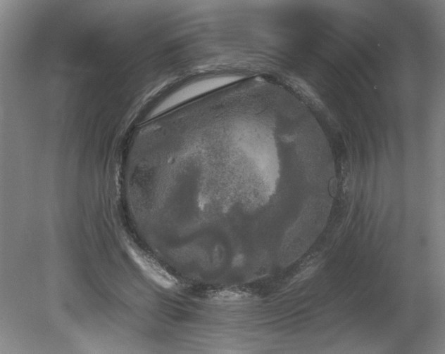 X0000082170542200701191310