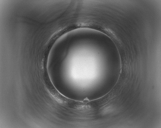 X0000082170543200701191310