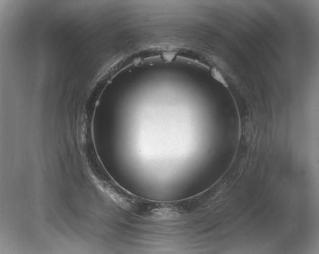 X0000082170544200701191310