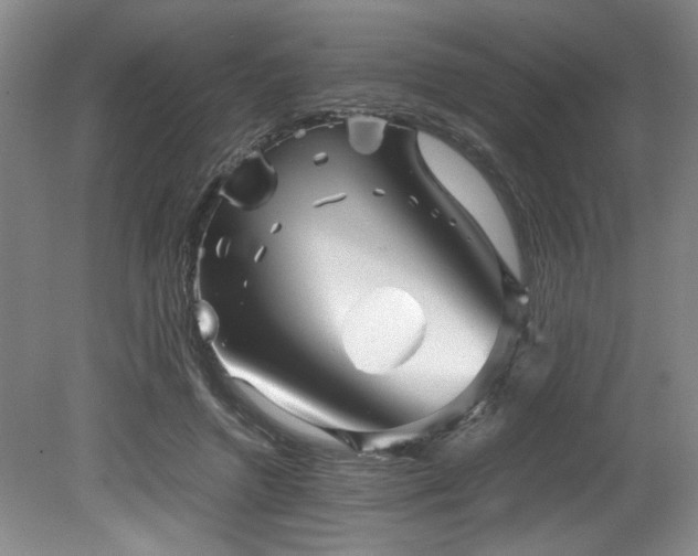 X0000082170546200701191310