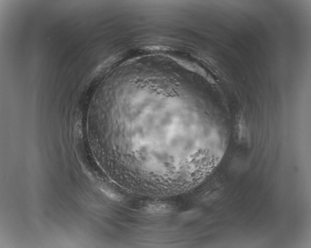 X0000082170547200701191310