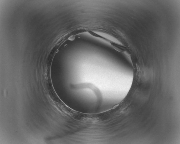 X0000082170548200701191310