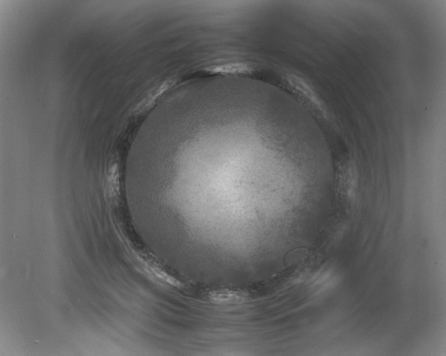 X0000082170549200701191310