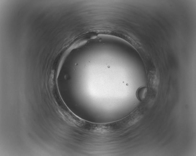 X0000082170550200701191310