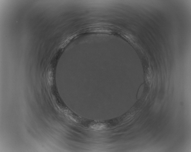 X0000082170551200701191310